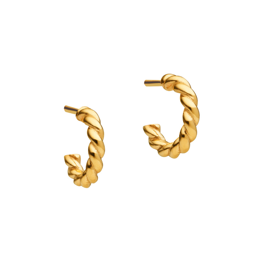 9CT DONNA HOOP EARRINGS (SM)