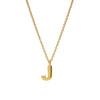9CT 'J' AMATE PENDANT
